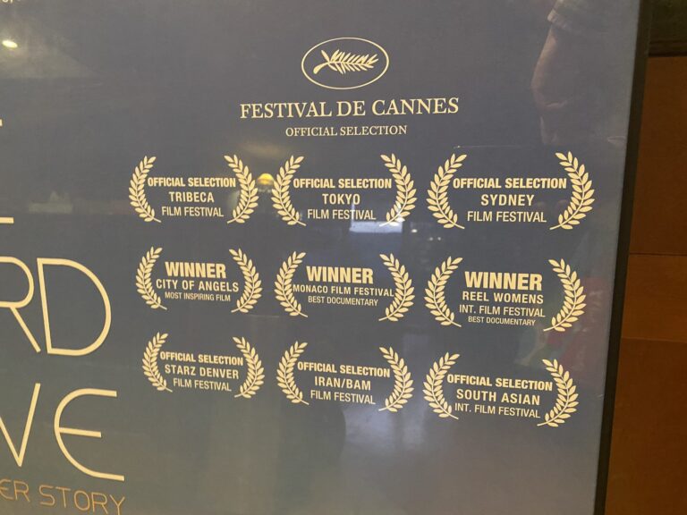 Festival de Cannes 2008 · The Third Wave · festival laurels