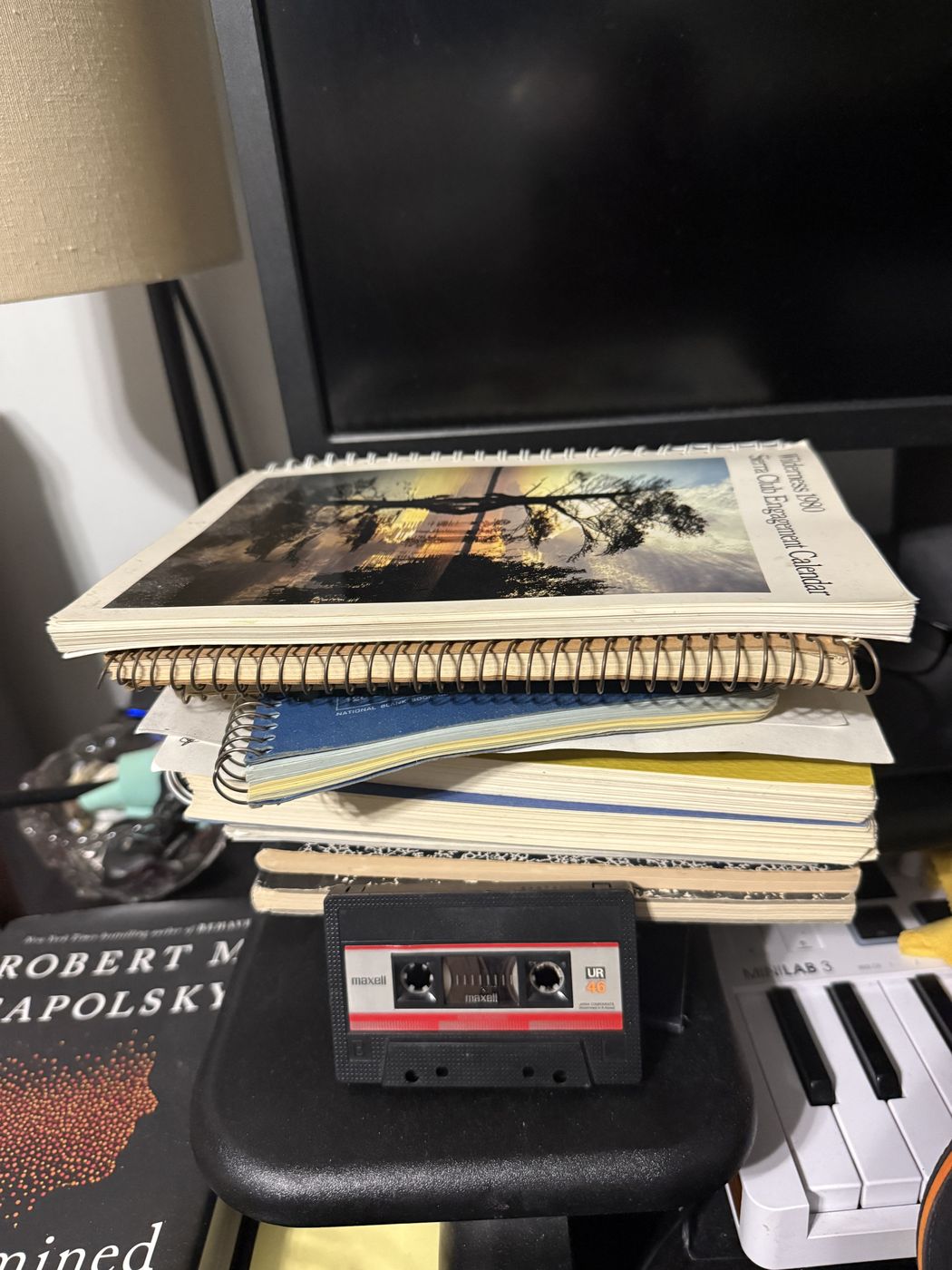 Her journals and recordings